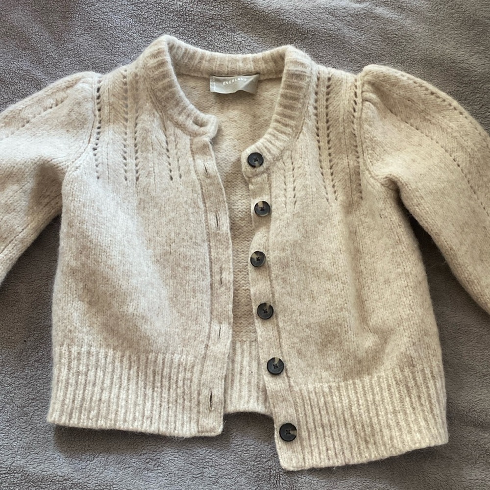 Everlane Merino Wool Cardigan
